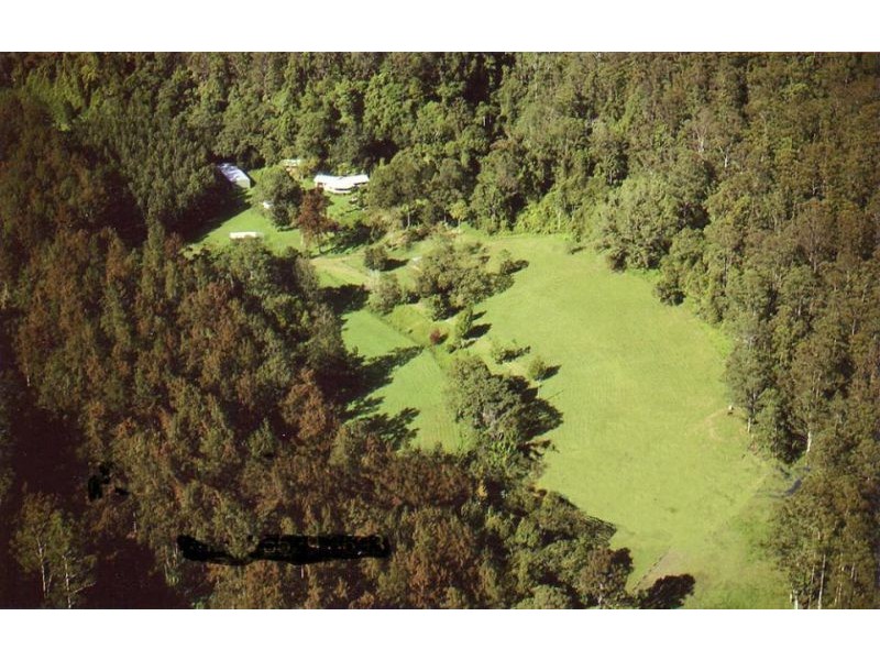 2287 Darkwood Road, Thora, Bellingen NSW 2454