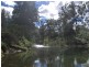 2287 Darkwood Road, Thora, Bellingen NSW 2454