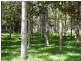 2287 Darkwood Road, Thora, Bellingen NSW 2454