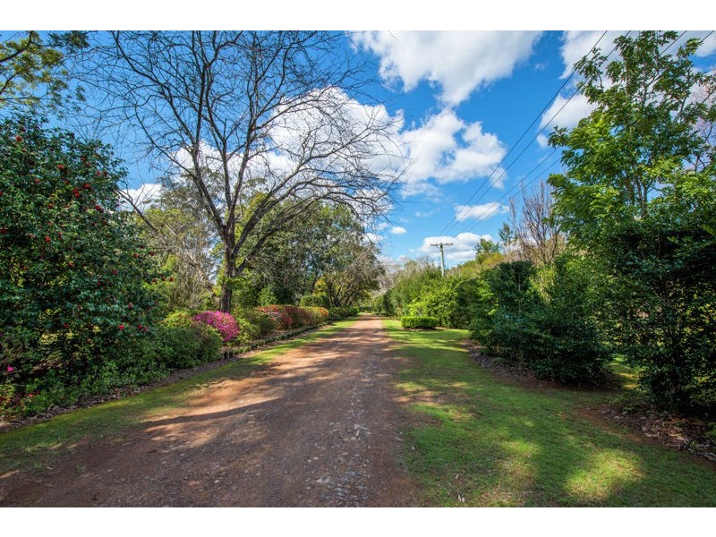 574 Darkwood Road, Thora, Bellingen NSW 2454