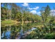 574 Darkwood Road, Thora, Bellingen NSW 2454