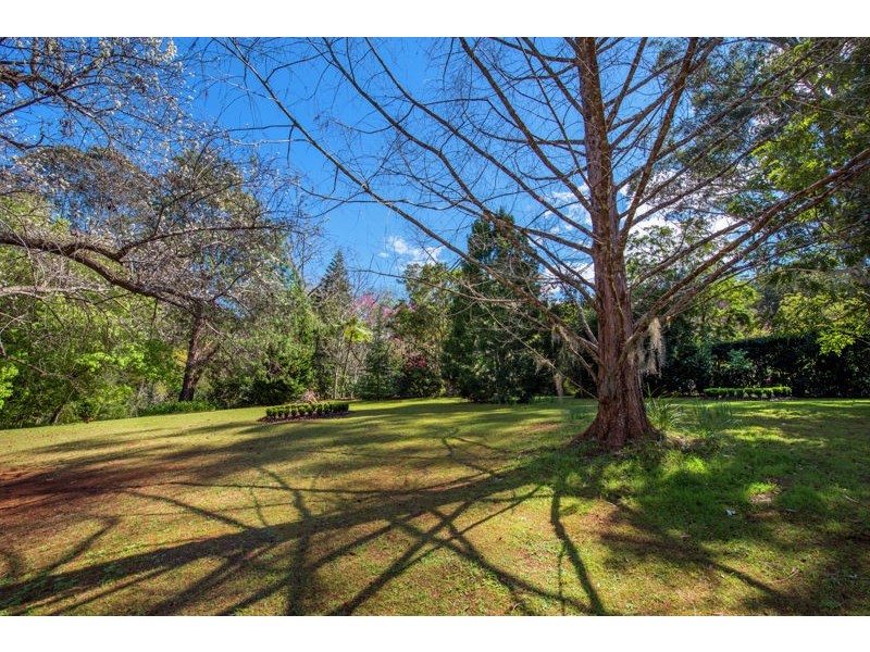 574 Darkwood Road, Thora, Bellingen NSW 2454