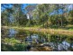 574 Darkwood Road, Thora, Bellingen NSW 2454
