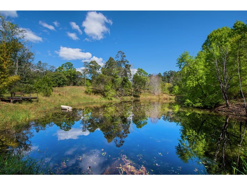 574 Darkwood Road, Thora, Bellingen NSW 2454