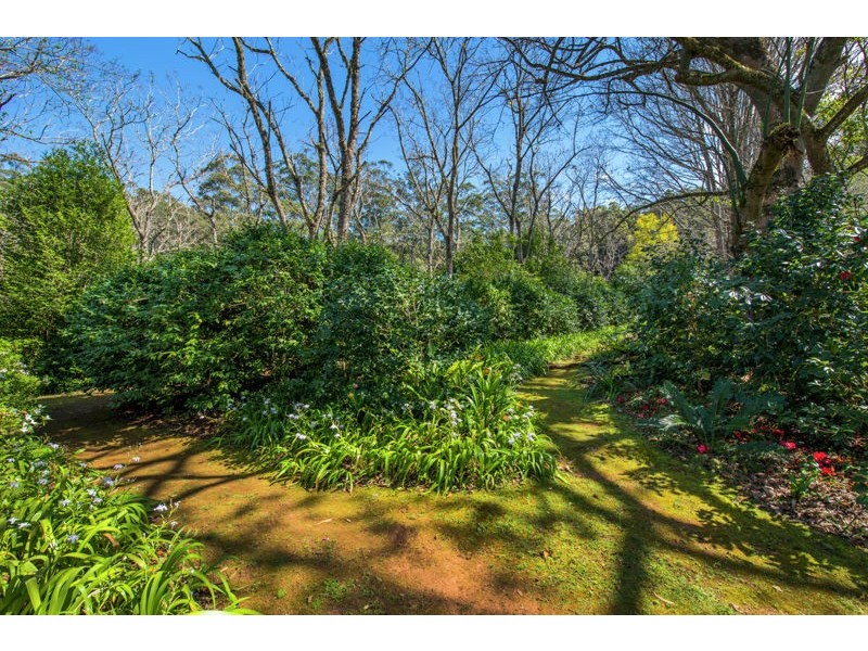 574 Darkwood Road, Thora, Bellingen NSW 2454