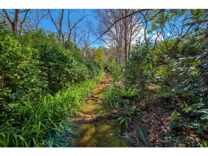 574 Darkwood Road, Thora, Bellingen NSW 2454