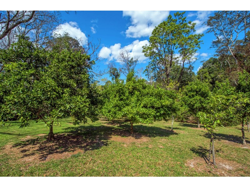 574 Darkwood Road, Thora, Bellingen NSW 2454