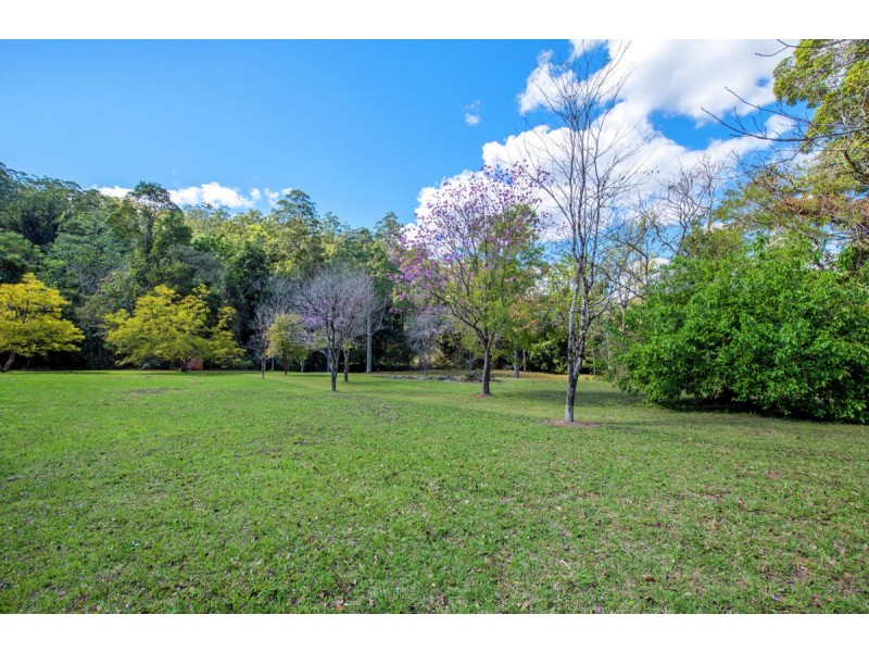 574 Darkwood Road, Thora, Bellingen NSW 2454