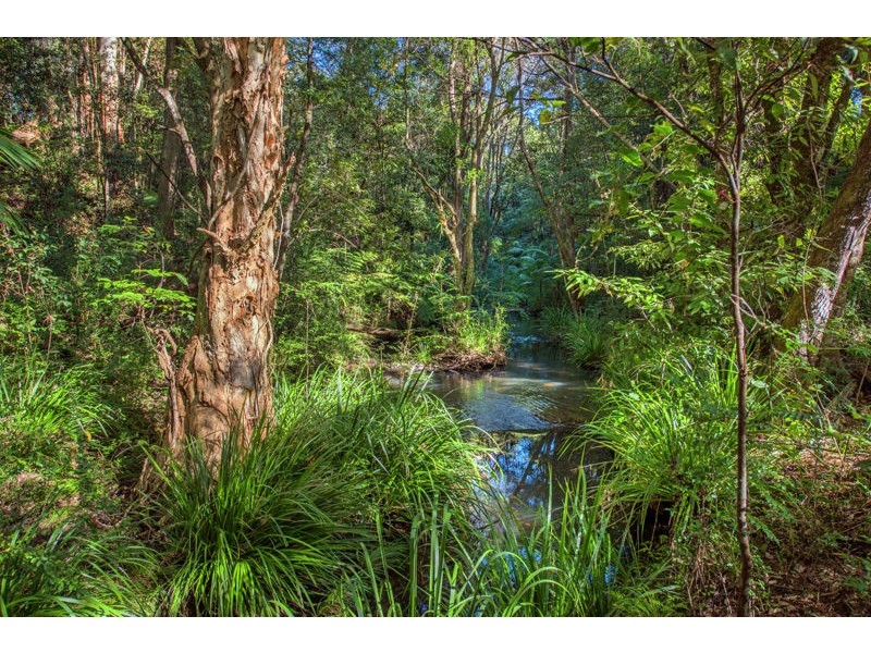 160 Crossmaglen Road, Bonville NSW 2441