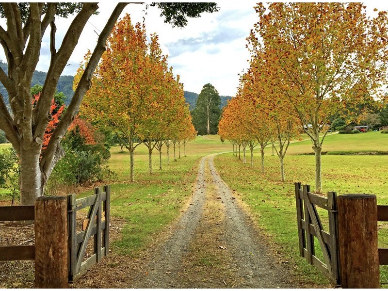 160 Crossmaglen Road, Bonville NSW 2441