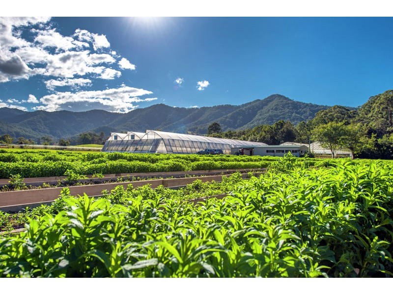 160 Crossmaglen Road, Bonville NSW 2441