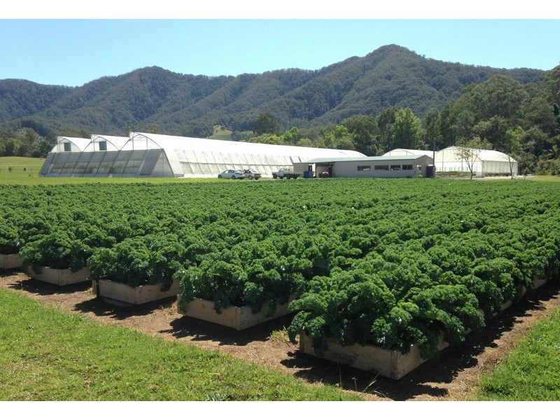 160 Crossmaglen Road, Bonville NSW 2441