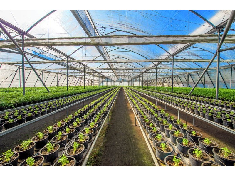 160 Crossmaglen Road, Bonville NSW 2441