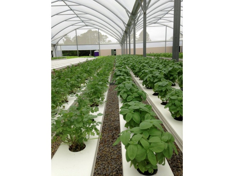 160 Crossmaglen Road, Bonville NSW 2441