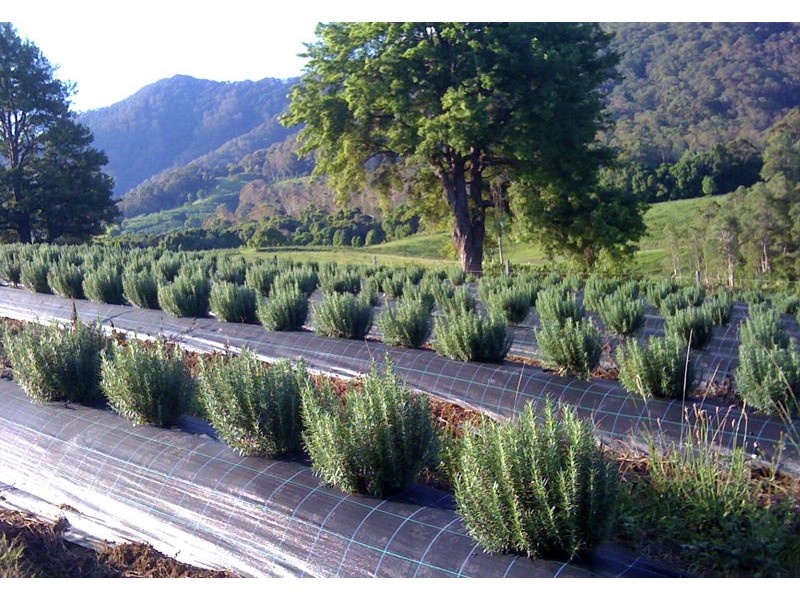 160 Crossmaglen Road, Bonville NSW 2441