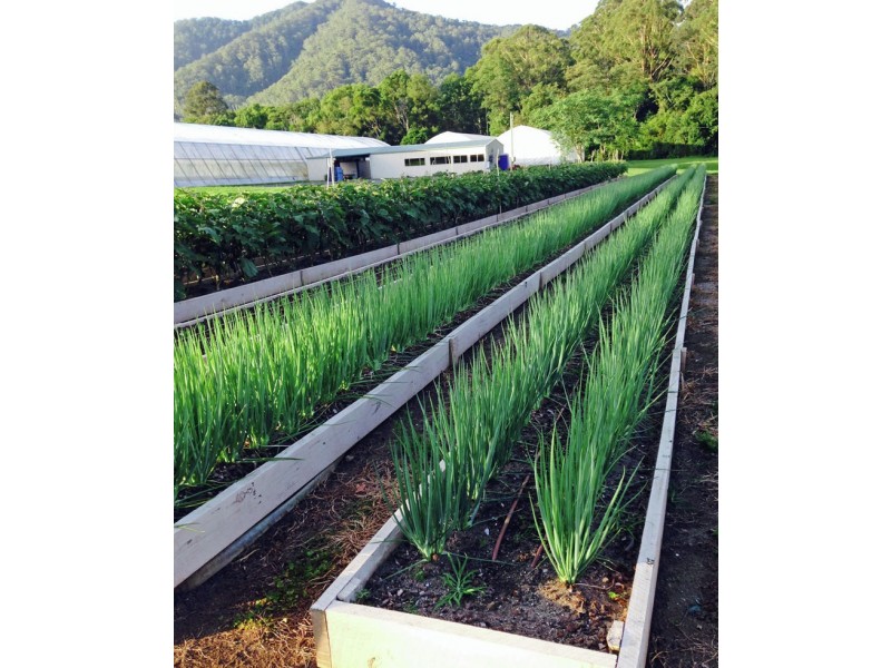 160 Crossmaglen Road, Bonville NSW 2441