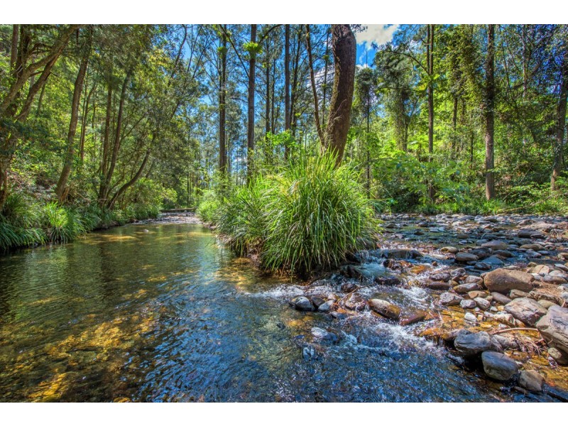 755 Summervilles Road, Thora, Bellingen NSW 2454