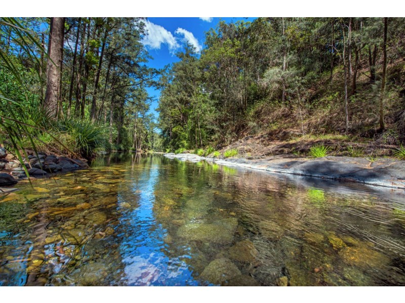 755 Summervilles Road, Thora, Bellingen NSW 2454