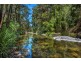 755 Summervilles Road, Thora, Bellingen NSW 2454