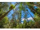755 Summervilles Road, Thora, Bellingen NSW 2454