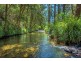 755 Summervilles Road, Thora, Bellingen NSW 2454