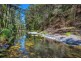 755 Summervilles Road, Thora, Bellingen NSW 2454