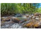 755 Summervilles Road, Thora, Bellingen NSW 2454