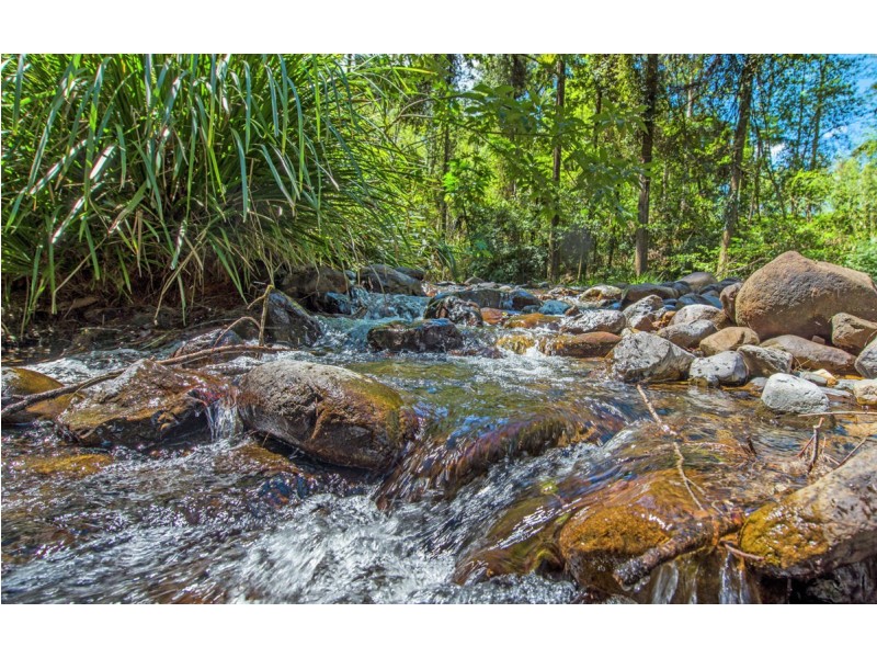 755 Summervilles Road, Thora, Bellingen NSW 2454