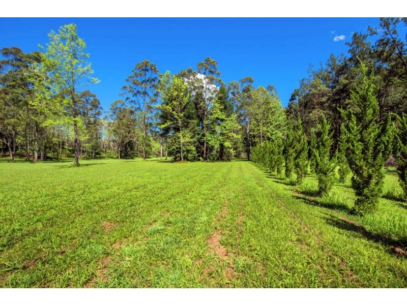 755 Summervilles Road, Thora, Bellingen NSW 2454