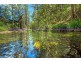 755 Summervilles Road, Thora, Bellingen NSW 2454