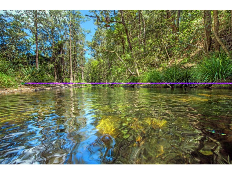 755 Summervilles Road, Thora, Bellingen NSW 2454