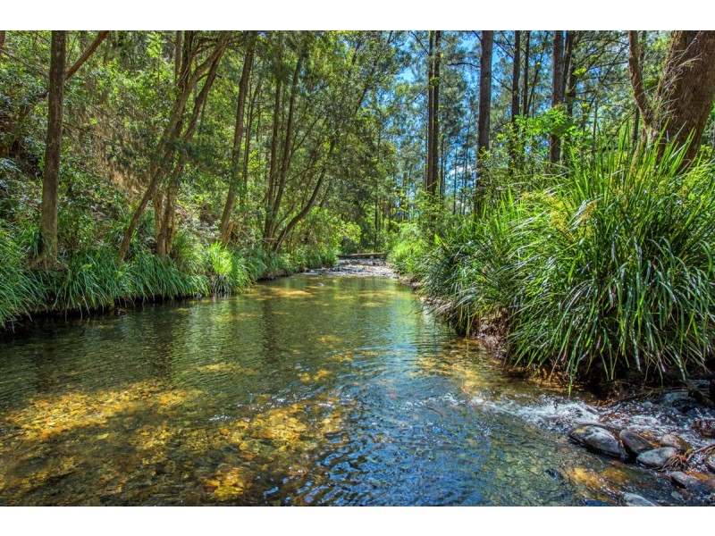 755 Summervilles Road, Thora, Bellingen NSW 2454