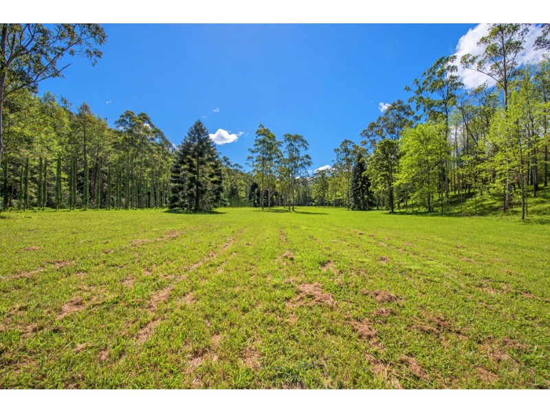 755 Summervilles Road, Thora, Bellingen NSW 2454