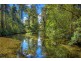 755 Summervilles Road, Thora, Bellingen NSW 2454