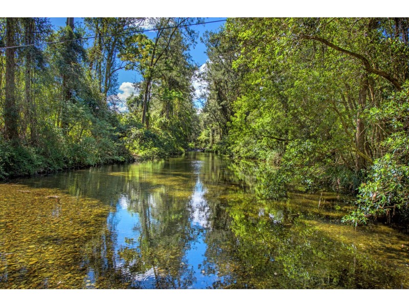 755 Summervilles Road, Thora, Bellingen NSW 2454