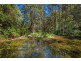 755 Summervilles Road, Thora, Bellingen NSW 2454