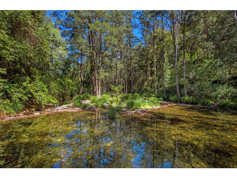 755 Summervilles Road, Thora, Bellingen NSW 2454