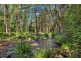 755 Summervilles Road, Thora, Bellingen NSW 2454