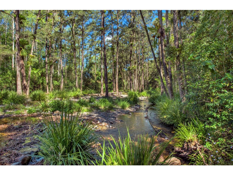 755 Summervilles Road, Thora, Bellingen NSW 2454