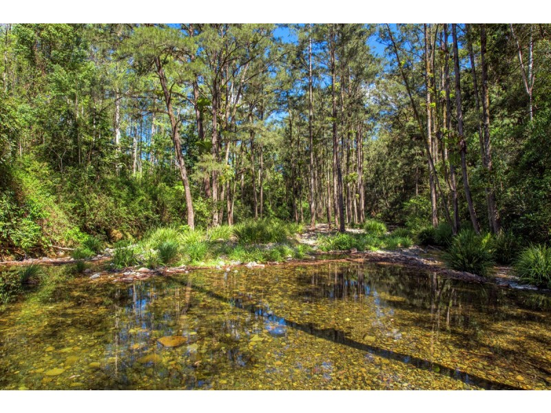 755 Summervilles Road, Thora, Bellingen NSW 2454