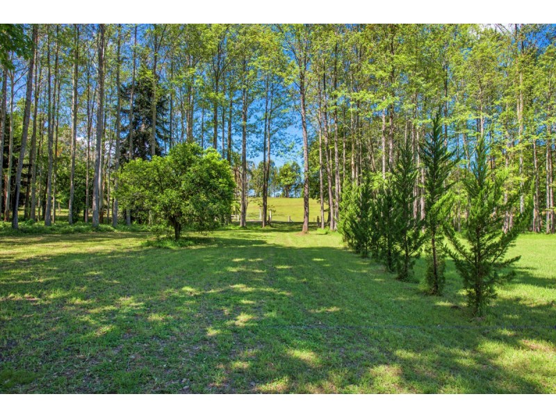 755 Summervilles Road, Thora, Bellingen NSW 2454