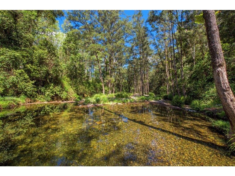 755 Summervilles Road, Thora, Bellingen NSW 2454