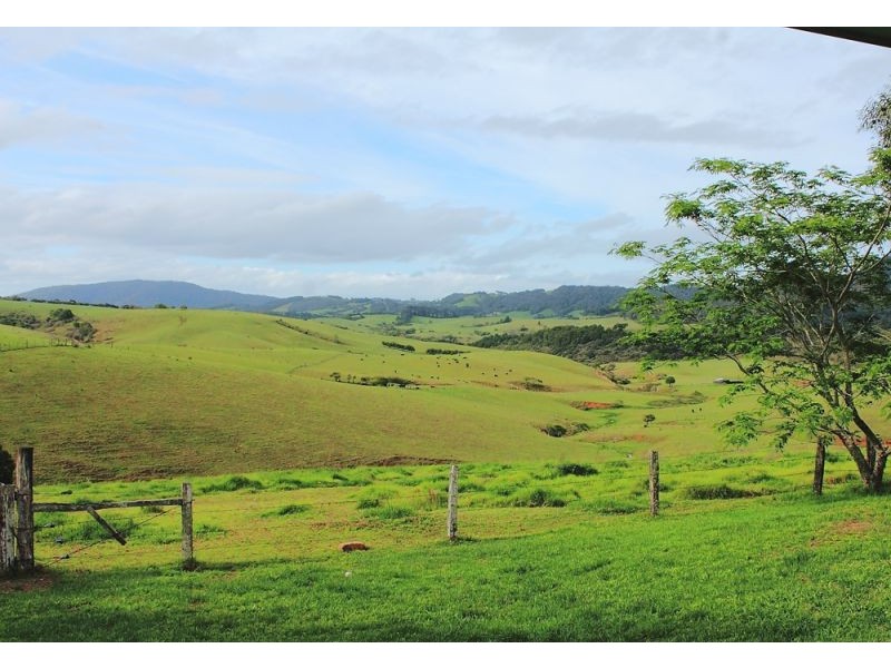 77-79 Hickory Street, Dorrigo NSW 2453