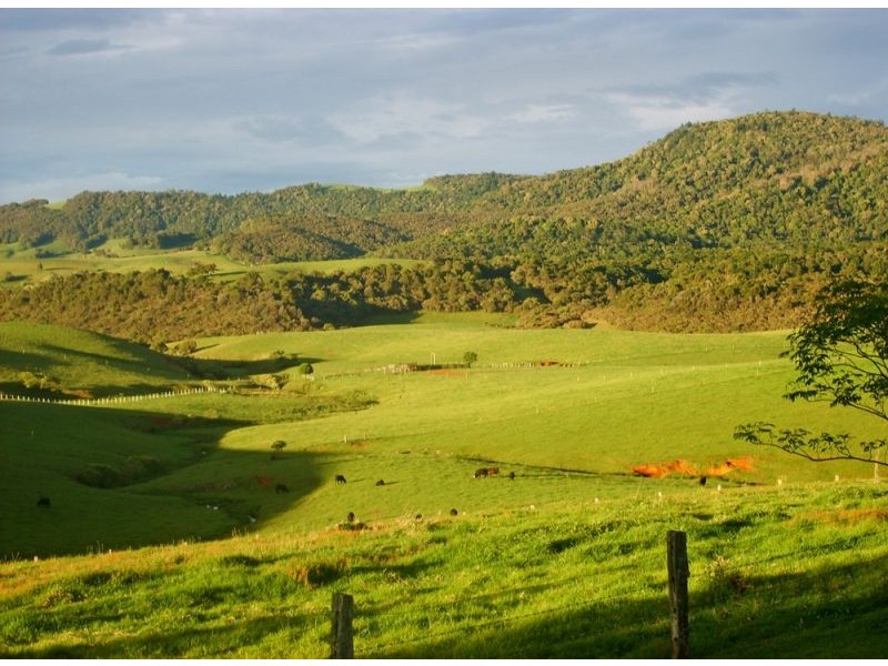 77-79 Hickory Street, Dorrigo NSW 2453