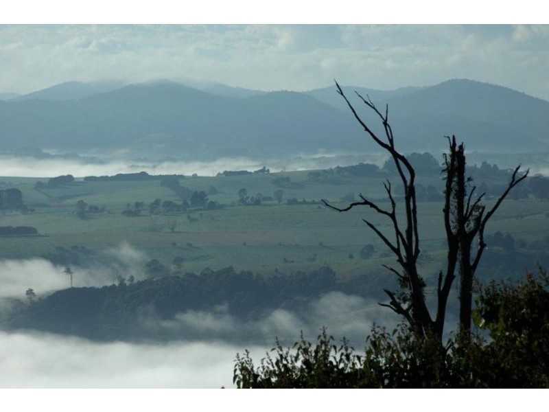 77-79 Hickory Street, Dorrigo NSW 2453