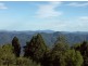Dorrigo NSW 2453