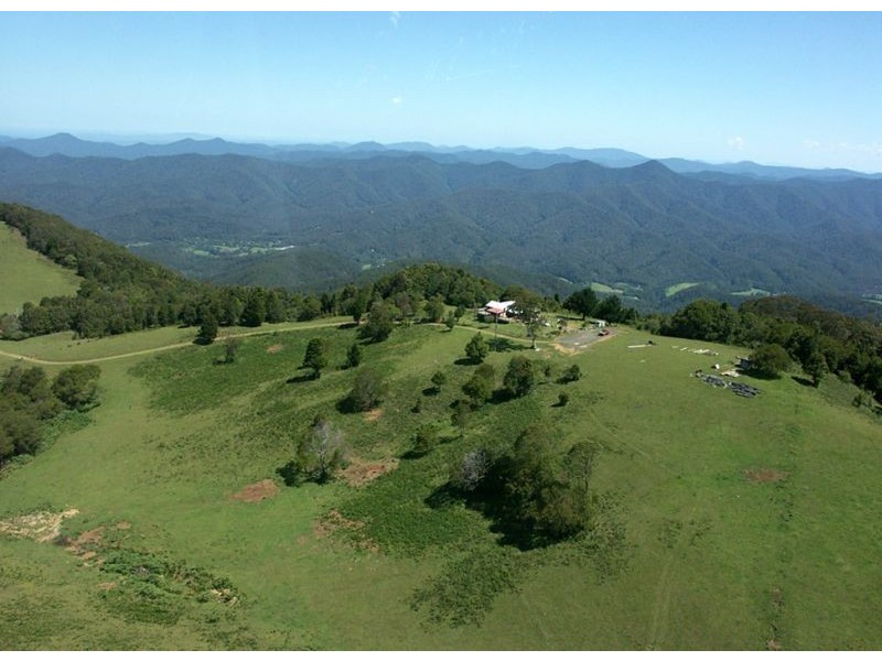 Dorrigo NSW 2453