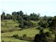 Dorrigo NSW 2453