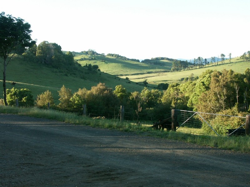 Dorrigo NSW 2453