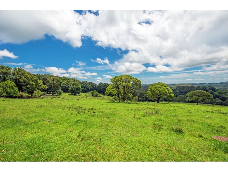 Lot 147 Redlands Road, Hernani, Dorrigo NSW 2453